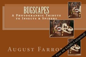 Cover for BugScapes: A Photographic Tribute to Insects & Spiders