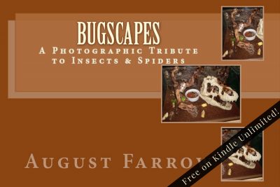 Cover for BugScapes