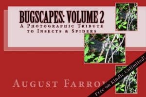 Cover for BugScapes: Volume 2: A Photographic Tribute to Insects & Spiders