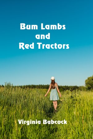 Cover for Bum Lambs and Red Tractors