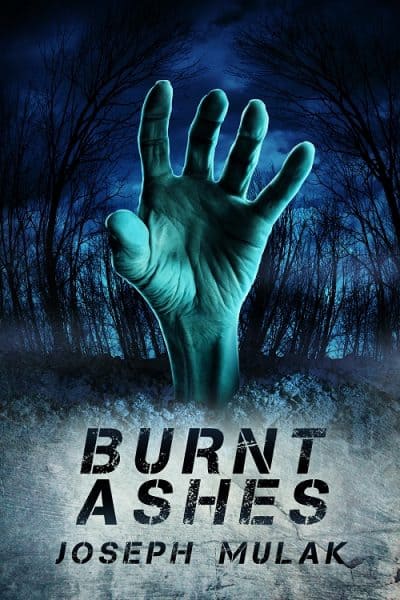 Cover for Burnt Ashes