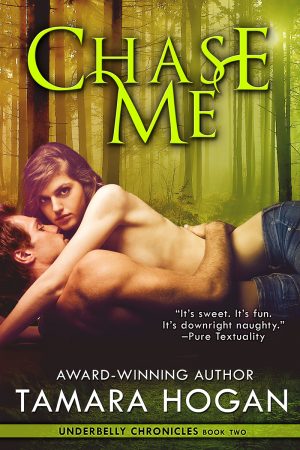 Cover for Chase Me