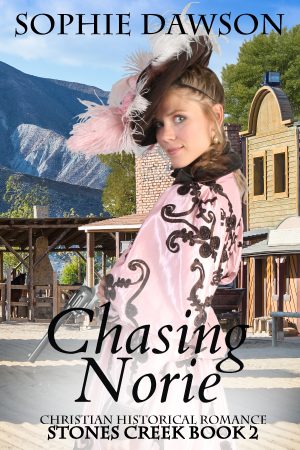 Cover for Chasing Norie