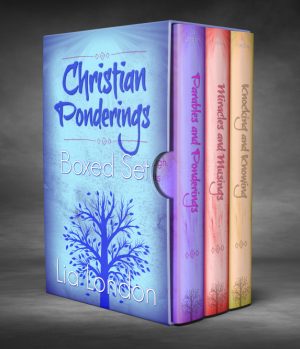 Cover for Christian Ponderings Boxed Set