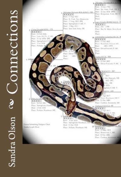 Cover for Connections