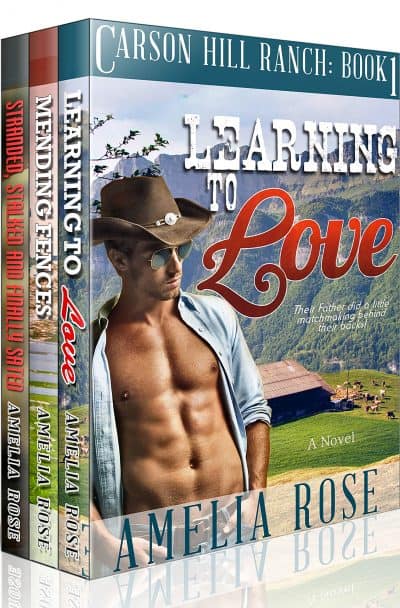Cover for Contemporary Cowboy Romance Box Set