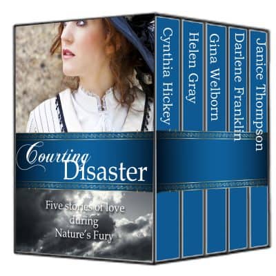 Cover for Courting Disaster