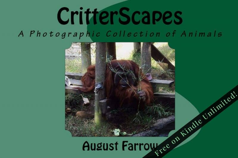 Cover for CritterScapes: A Photographic Collection of Animals