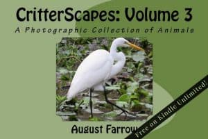 Cover for CritterScapes: Volume 3