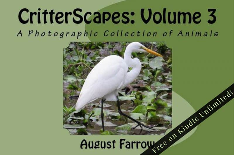 Cover for CritterScapes: Volume 3: A Photographic Collection of Animals
