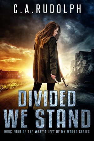 Cover for Divided We Stand