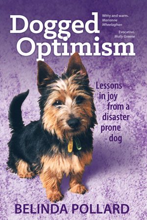 Cover for Dogged Optimism