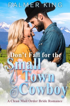 Cover for Don't Fall for the Small Town Cowboy