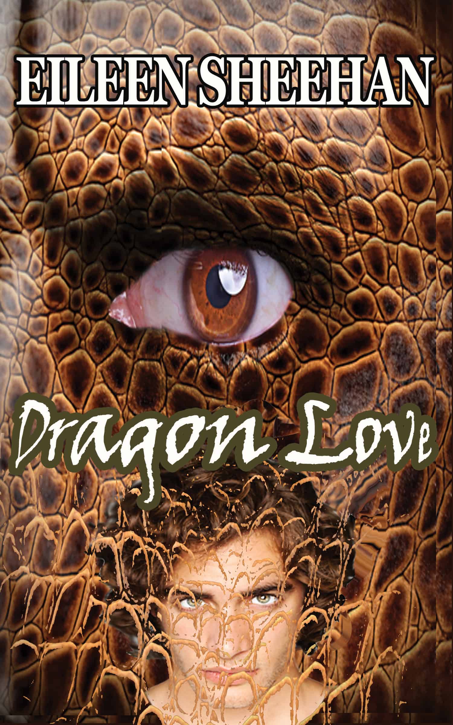 Cover for Dragon Love