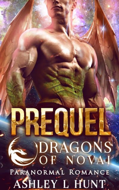 Cover for Dragons of Novai
