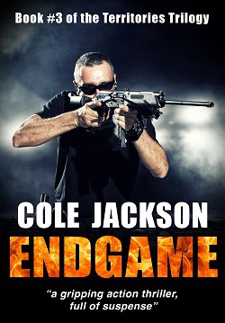 Cover for Endgame