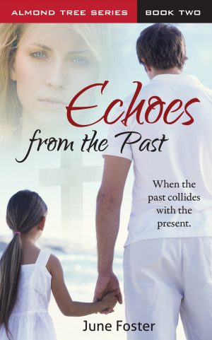 Cover for Echoes From the Past