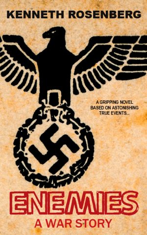 Cover for Enemies: A War Story
