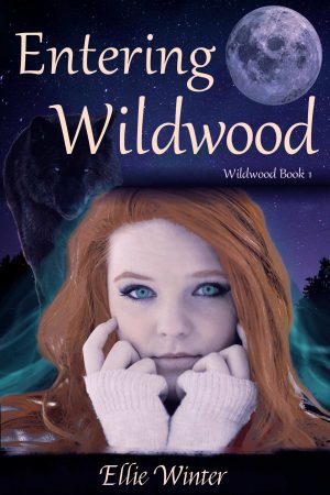 Cover for Entering Wildwood