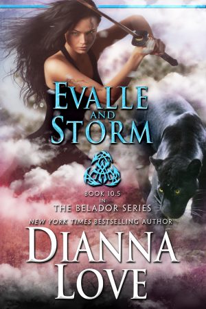 Cover for Evalle and Storm
