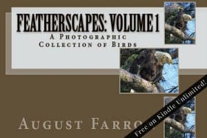 Cover for FeatherScapes: Volume 1