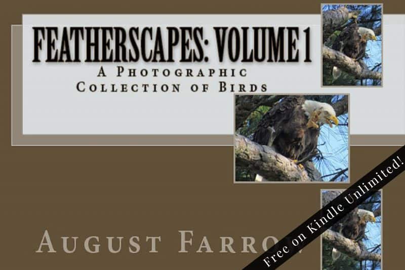 Cover for FeatherScapes: Volume 1: A Photographic Collection of Birds