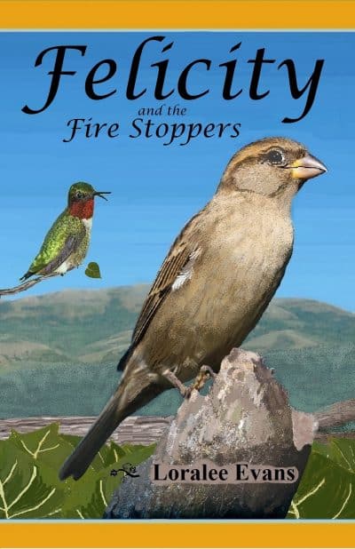 Cover for Felicity and the Fire Stoppers