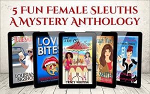 Cover for Five Fun Female Sleuths