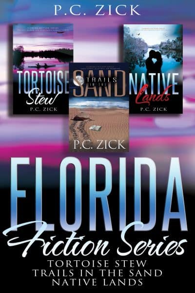 Cover for Florida Fiction Series