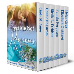 Cover for Forget Me Not Romances