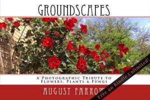 Cover for GroundScapes