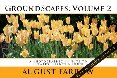 Cover for GroundScapes: Volume 2