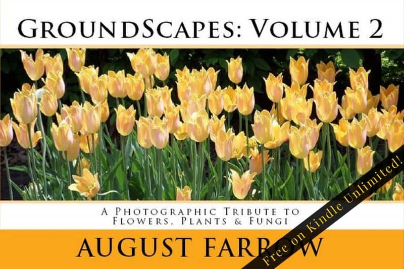 Cover for GroundScapes: Volume 2: A Photographic Tribute to Flowers, Plants & Fungi