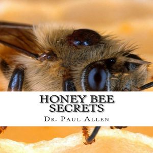 Cover for Honey Bee Secrets