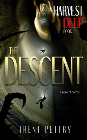 Cover for The Descent