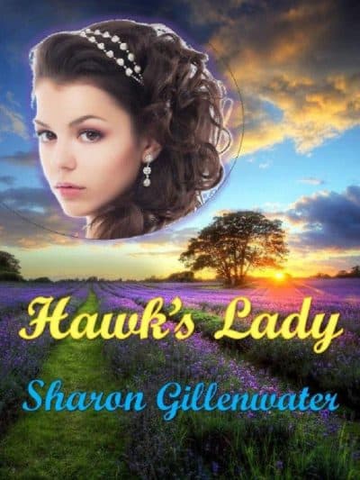 Cover for Hawk's Lady