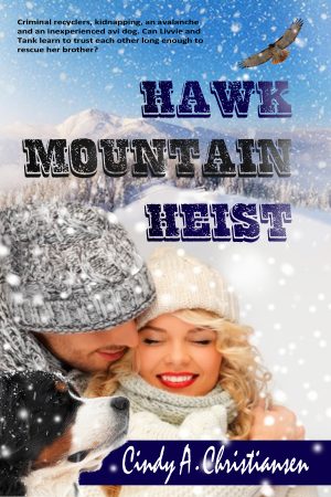 Cover for Hawk Mountain Heist