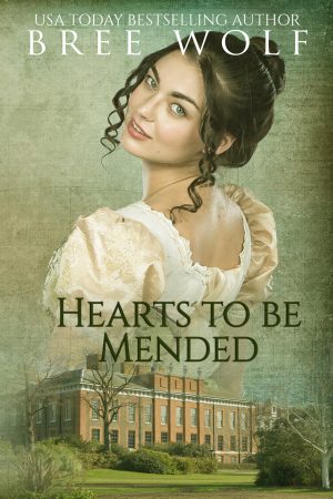 Cover for Hearts to Be Mended