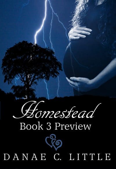 Cover for Homestead