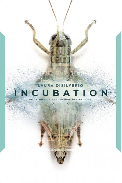 Cover for Incubation