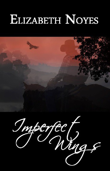 Cover for Imperfect Wings