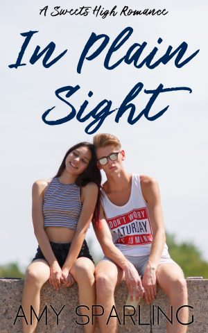 Cover for In Plain Sight
