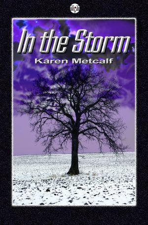 Cover for In the Storm