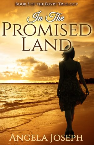 Cover for In the Promised Land