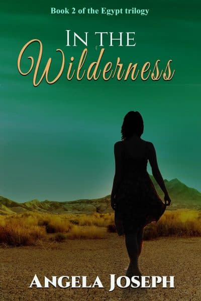 Cover for In the Wilderness