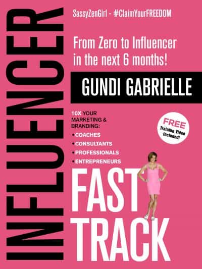 Cover for Influencer Fast Track: From Zero to Influencer in the next 6 months!
