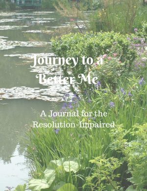 Cover for Journey to a Better Me