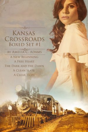 Cover for Kansas Crossroads Boxed Set