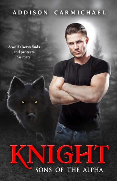 Cover for Knight