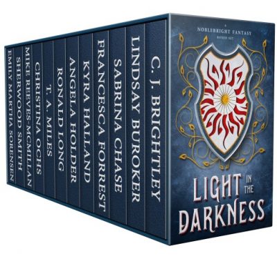 Cover for Light in the Darkness